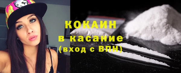 индика Балахна
