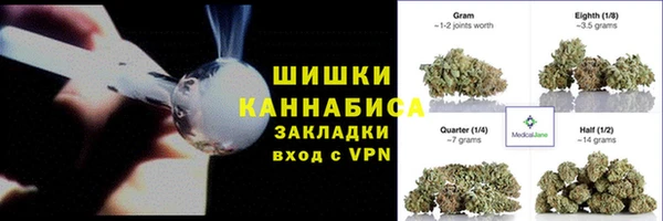 индика Балахна