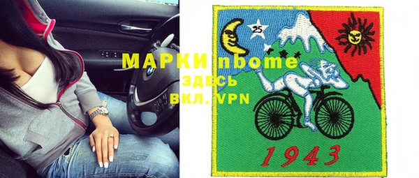 индика Балахна