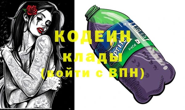 индика Балахна