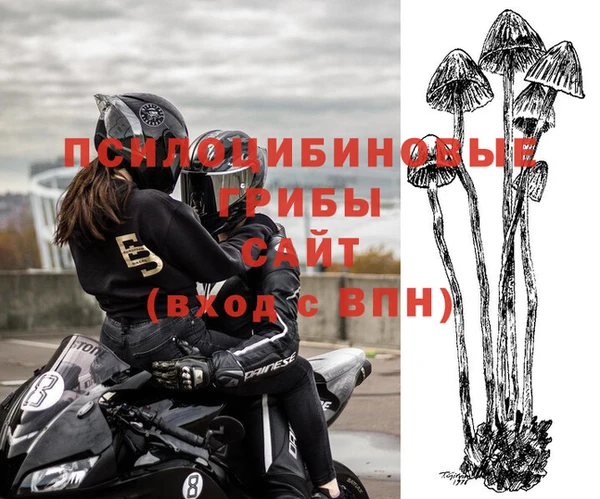 амф Арсеньев