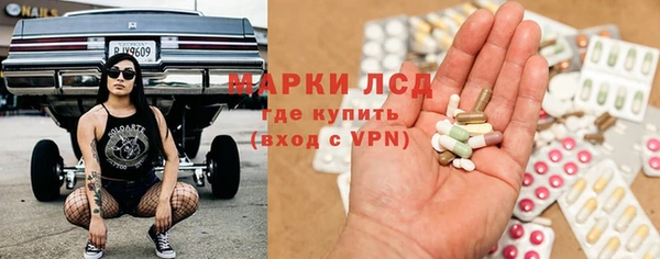 индика Балахна