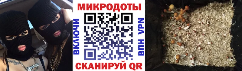Галлюциногенные грибы GOLDEN TEACHER  Советск 